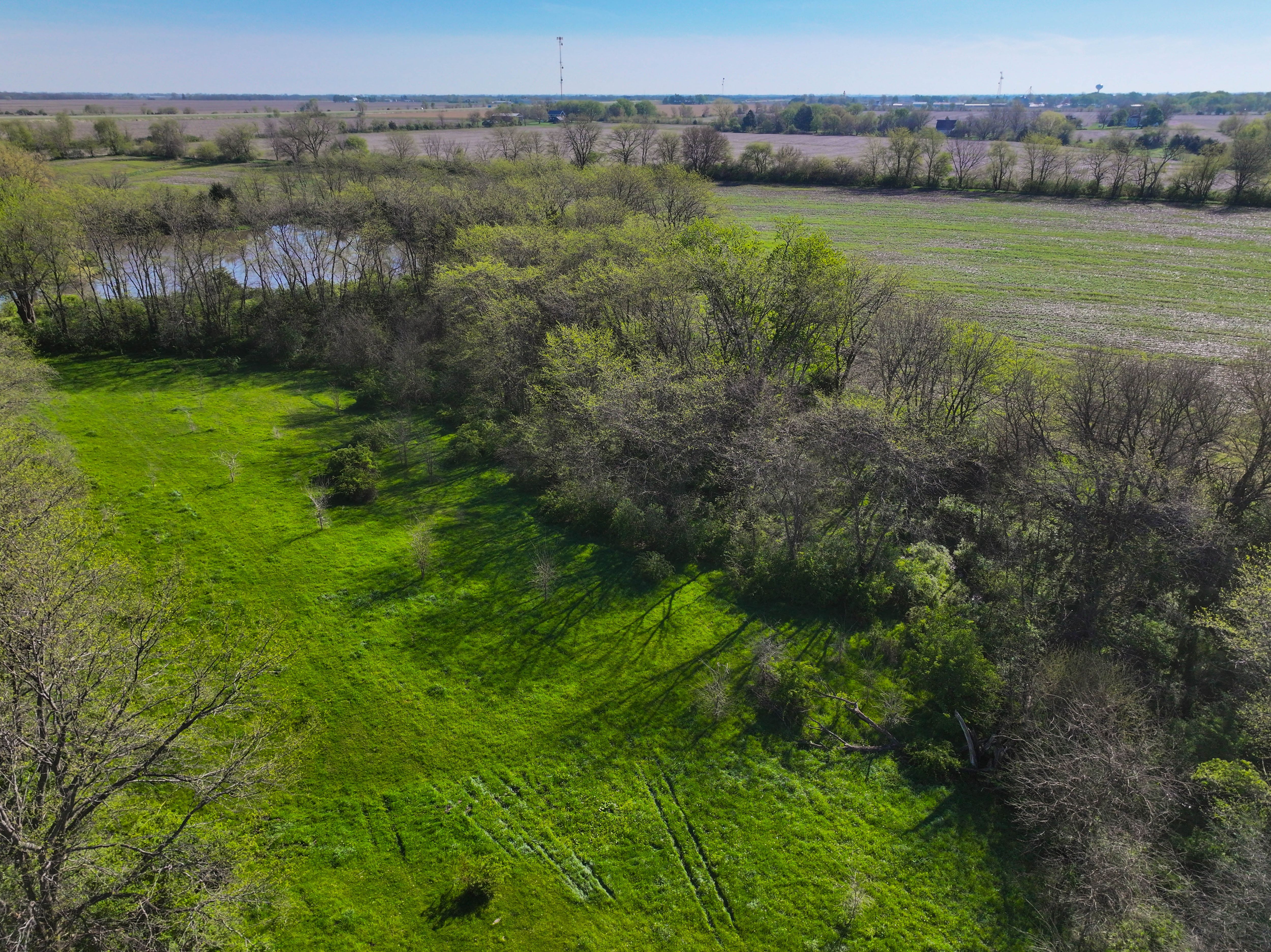 Listing Photo: Henry County Rural Building Sites-15
